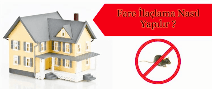 Fare İlaçlama Nasıl Yapılır?
