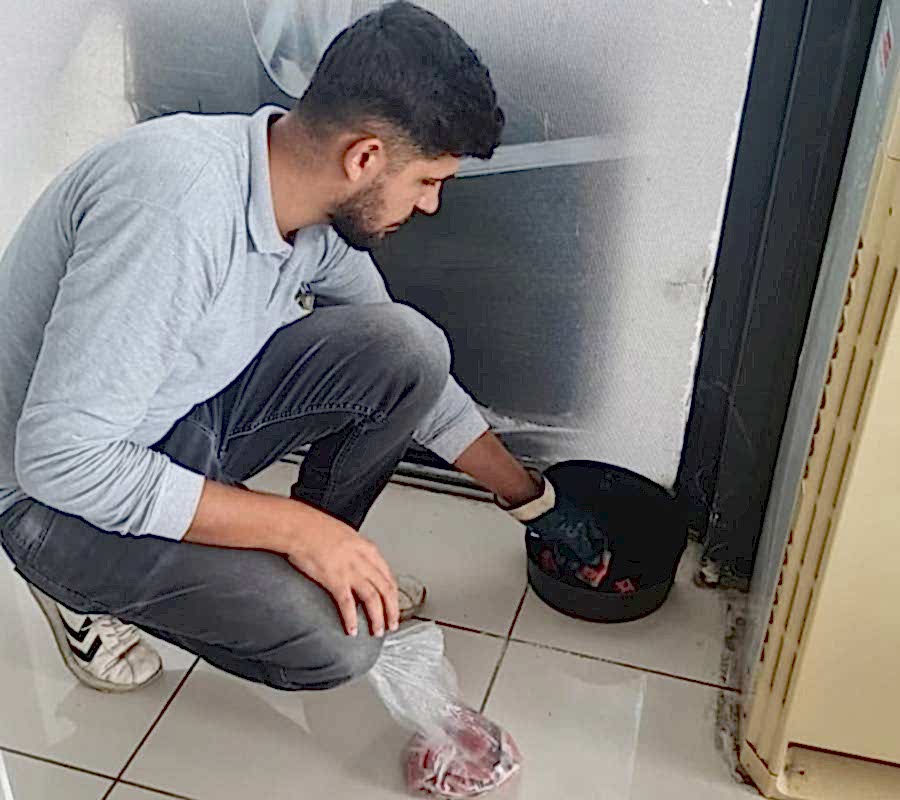 Adana Fare İlaçlama Hizmeti